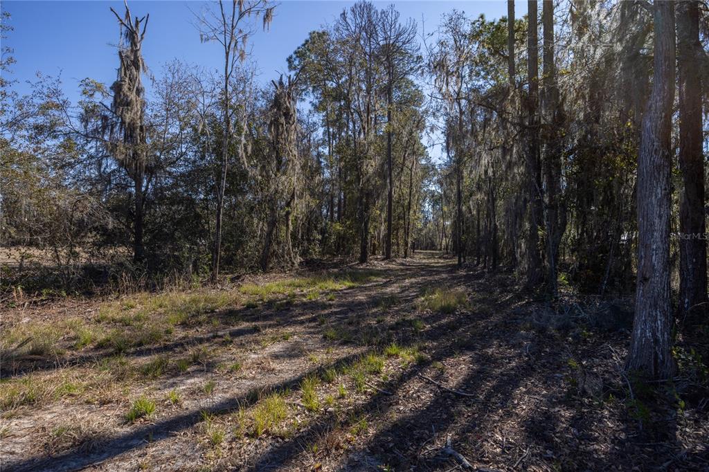 155th Way Starke, FL 32091 - Photo 2 of 29 a view of outdoor space with trees