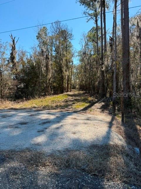 155th Way Starke, FL 32091 - Photo 21 of 29 a view of a yard with trees