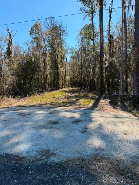 155th Way Starke, FL 32091 - Photo 22 of 29 a view of a yard with palm trees