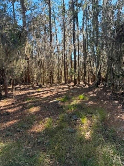 155th Way Starke, FL 32091 - Photo 26 of 29 a view of outdoor space with yard and trees