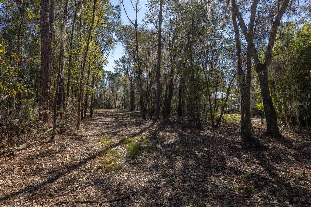 155th Way Starke, FL 32091 - Photo 5 of 29 a view of outdoor space with lots of trees