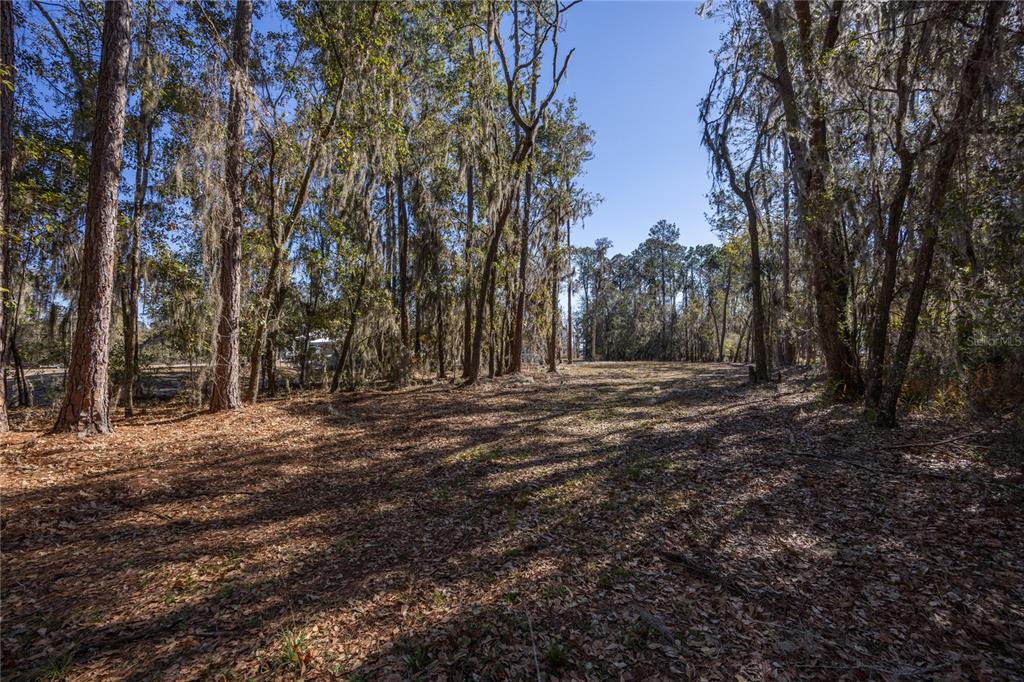 155th Way Starke, FL 32091 - Photo 6 of 29 a view of outdoor space with trees