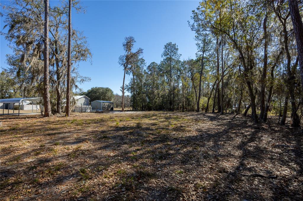 155th Way Starke, FL 32091 - Photo 7 of 29 a view of dirt field with trees