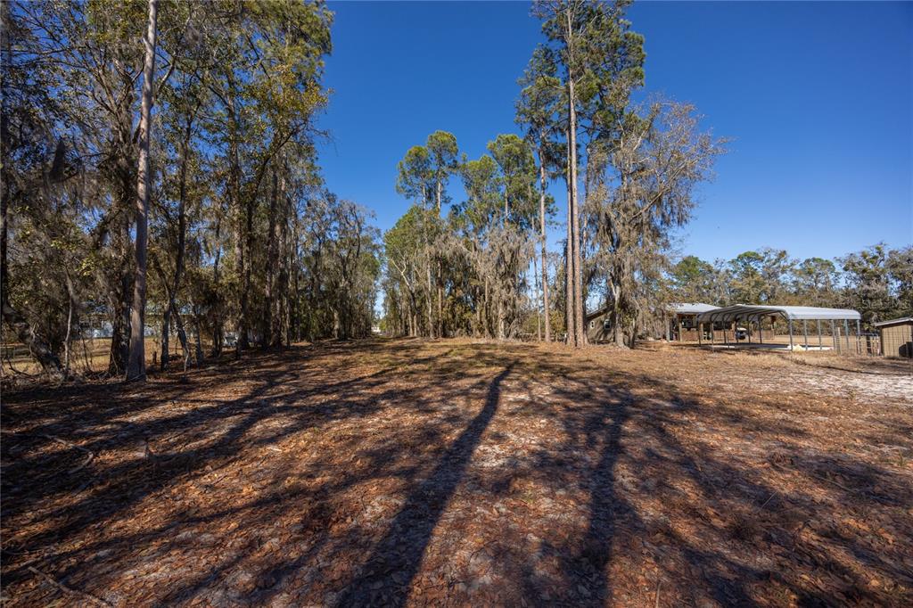 155th Way Starke, FL 32091 - Photo 8 of 29 a view of outdoor space with trees