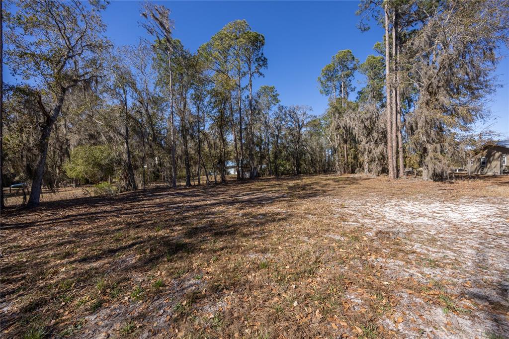 155th Way Starke, FL 32091 - Photo 9 of 29 a view of dirt field with trees in the background