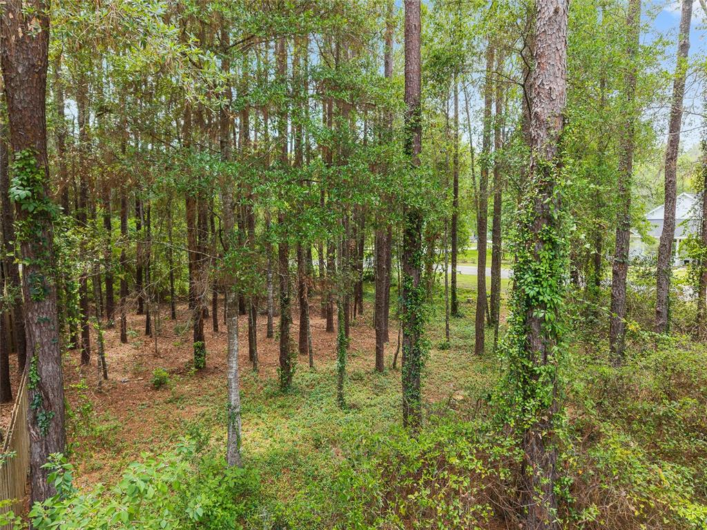10511 Southwest 17th Place Gainesville, FL 32607 - Photo 55 of 77