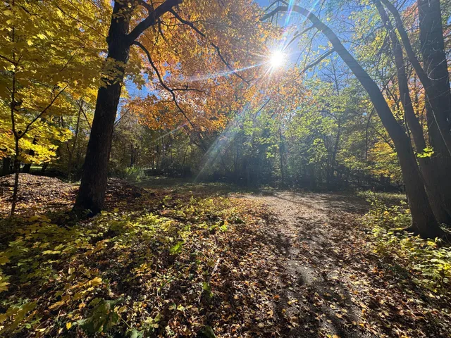 $225,000 | Tbd Selnes Road, Glenwood, MN 56334