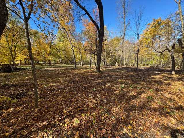 $225,000 | Tbd Selnes Road, Glenwood, MN 56334