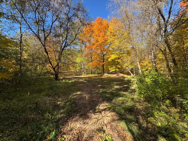 $225,000 | Tbd Selnes Road, Glenwood, MN 56334