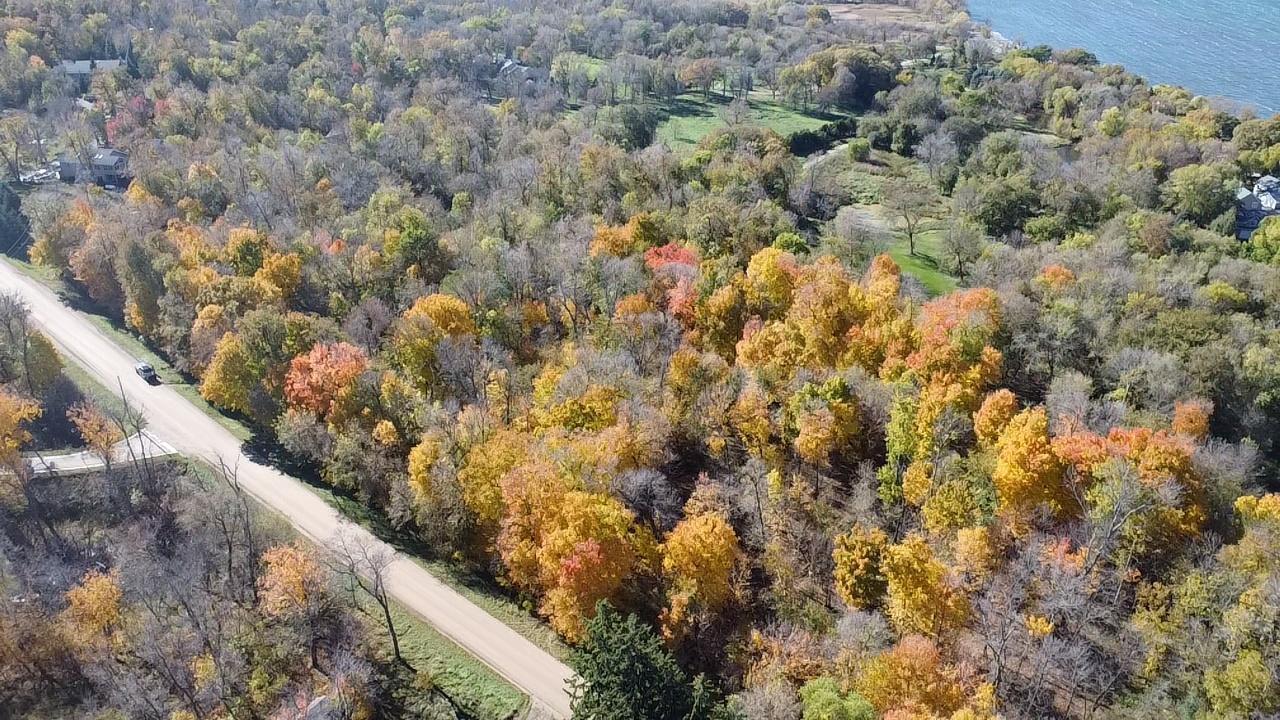 Tbd Selnes Road Glenwood, MN 56334 - Photo 9 of 18