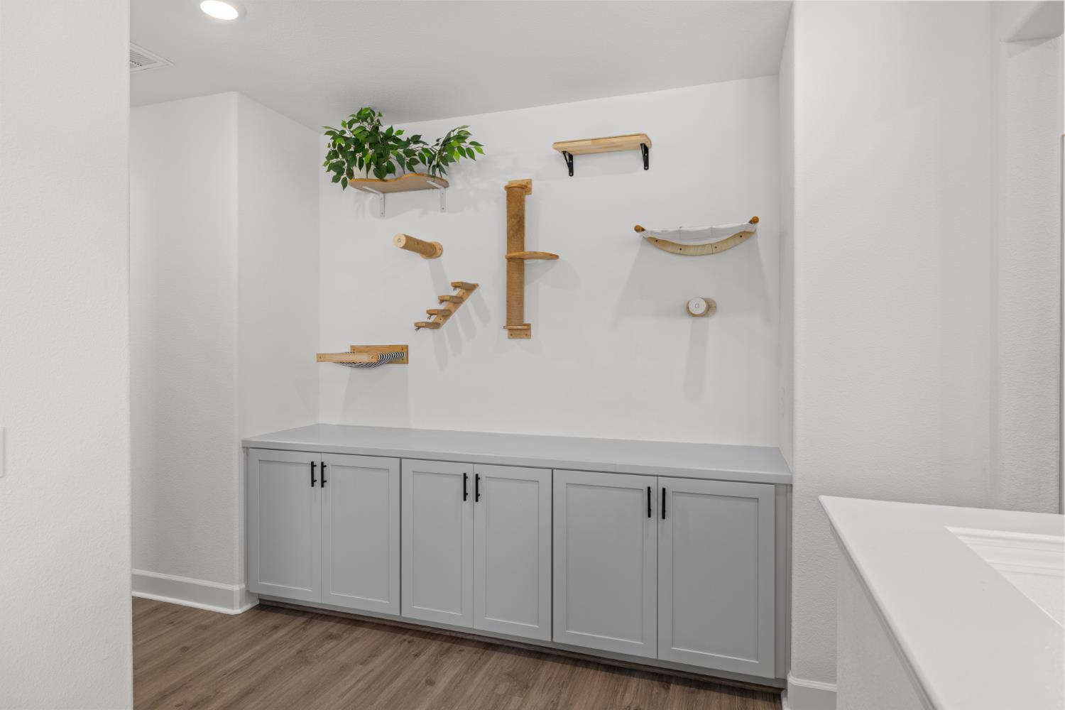 1081 Fullerton Ranch Road Lincoln, CA 95648 - Photo 20 of 56