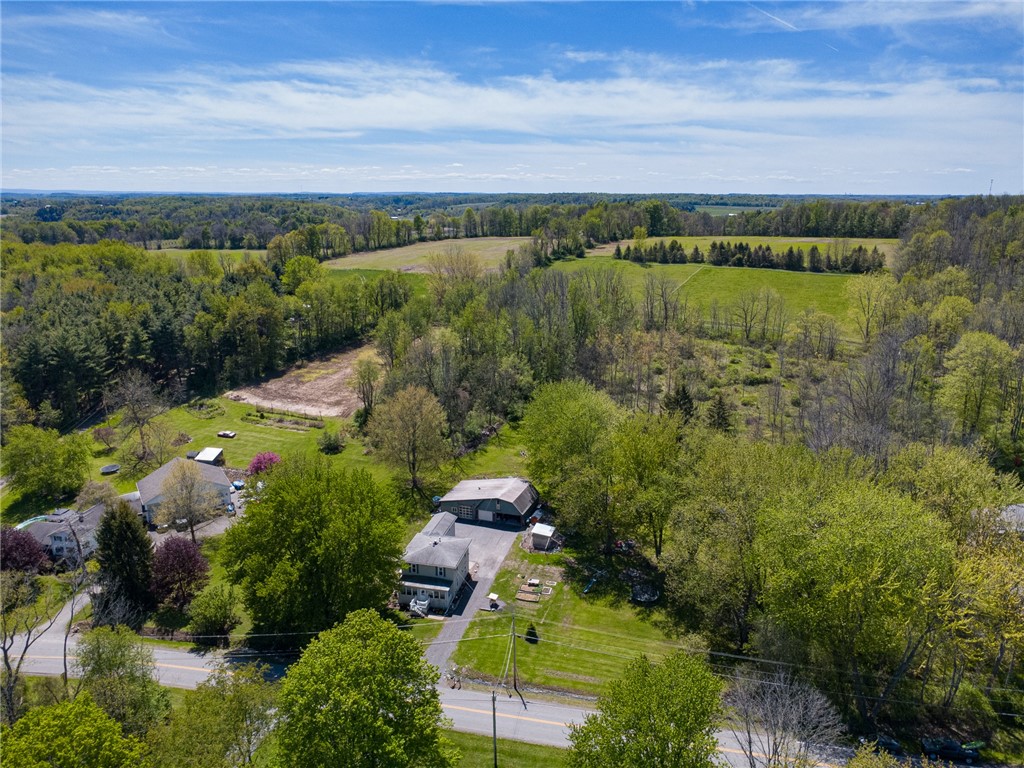 5443 Russell Road Marion, NY 14505 - Photo 2 of 48 The beautiful view of just over three acres of YOU