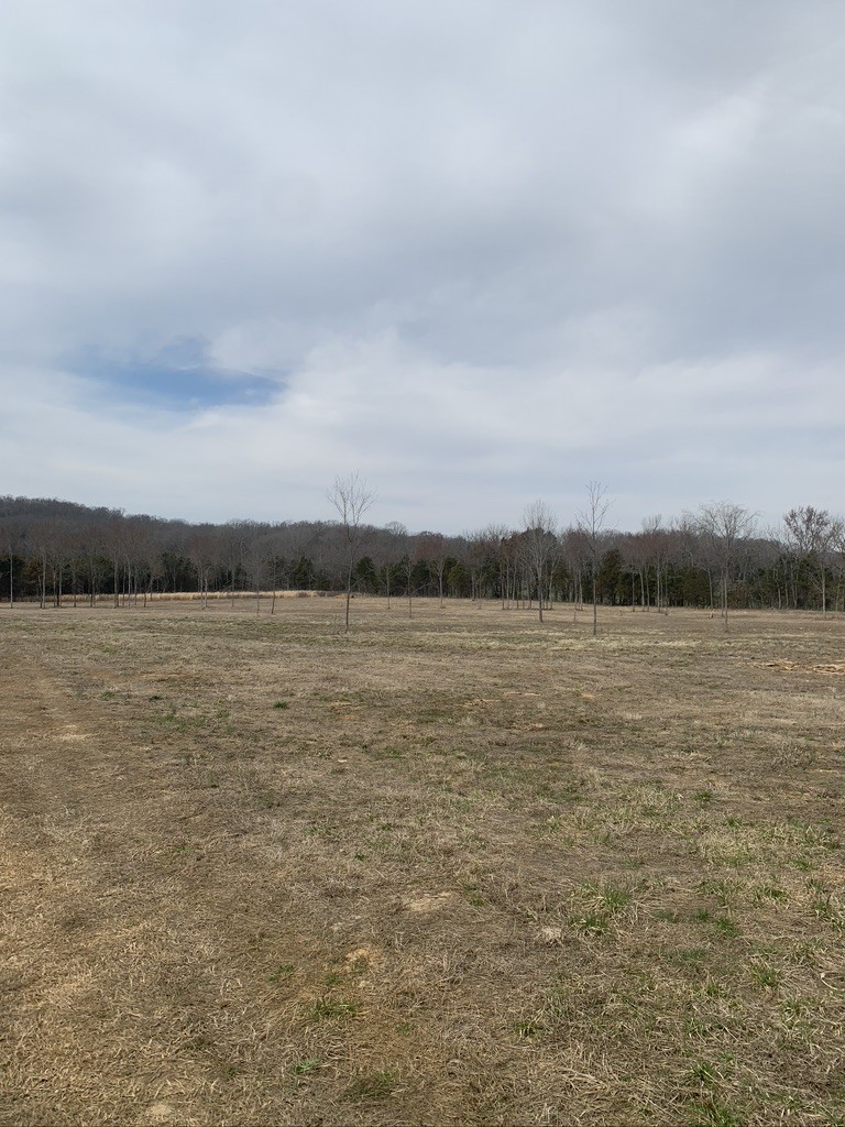 0 West Trimble Road Milton, TN 37118 - Photo 1 of 9 Gallery Image 1
