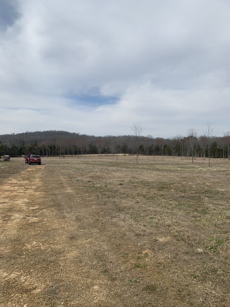 0 West Trimble Road Milton, TN 37118 - Photo 2 of 9 Gallery Image 2