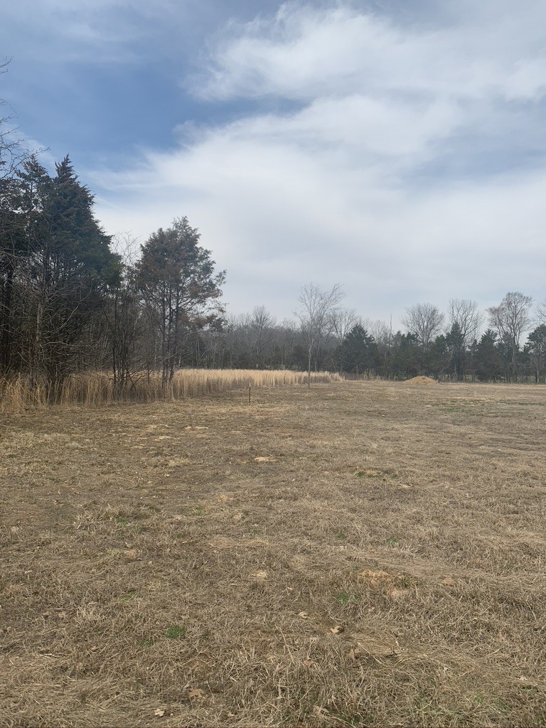 0 West Trimble Road Milton, TN 37118 - Photo 3 of 9 Gallery Image 3