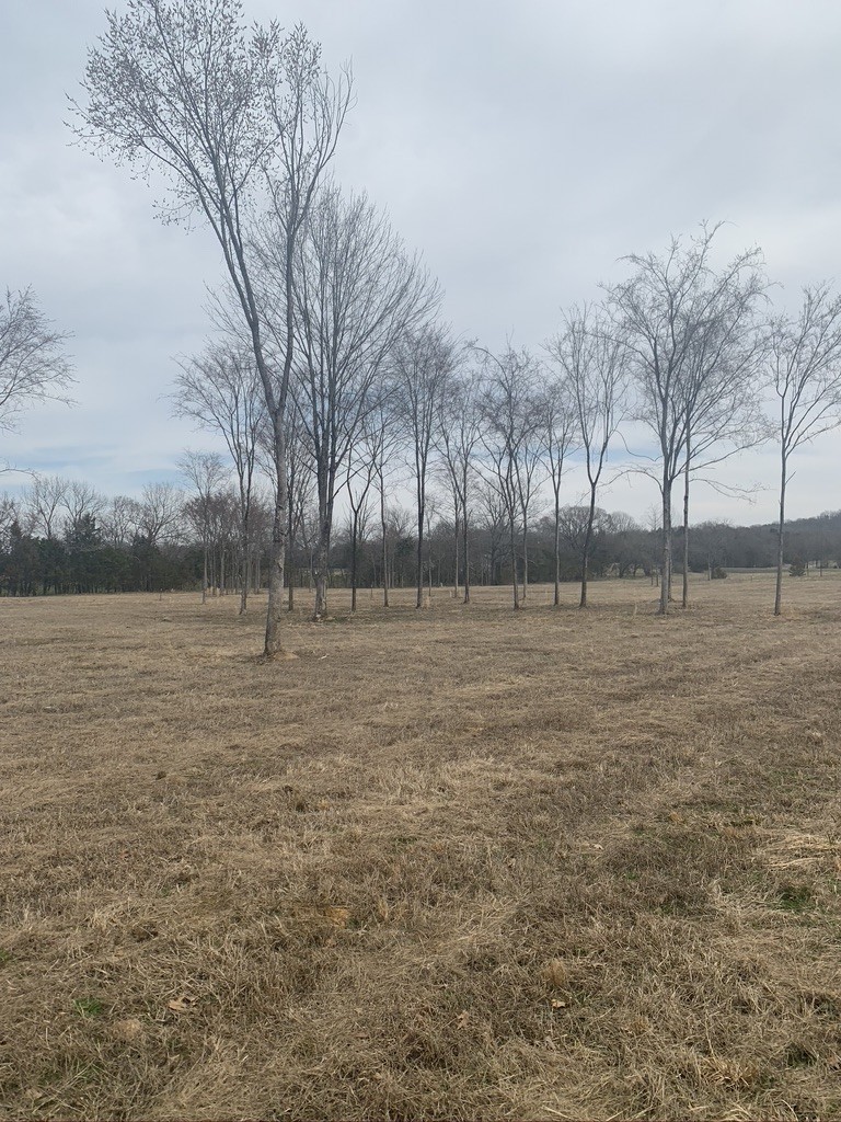 0 West Trimble Road Milton, TN 37118 - Photo 4 of 9 Gallery Image 4