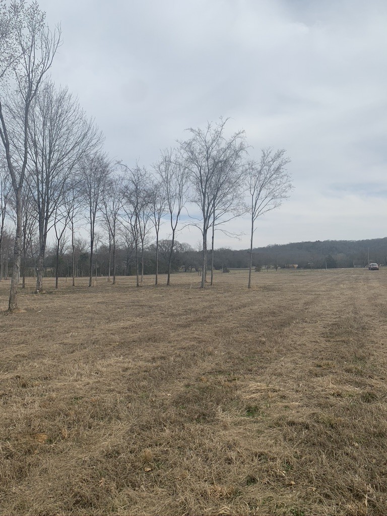 0 West Trimble Road Milton, TN 37118 - Photo 5 of 9 Gallery Image 5