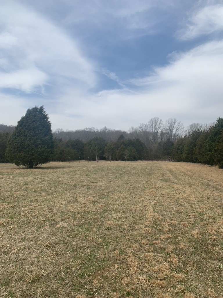 0 West Trimble Road Milton, TN 37118 - Photo 6 of 9 Gallery Image 6