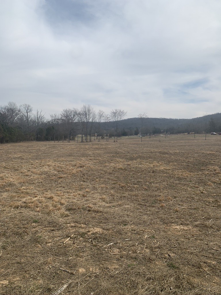 0 West Trimble Road Milton, TN 37118 - Photo 8 of 9 Gallery Image 8