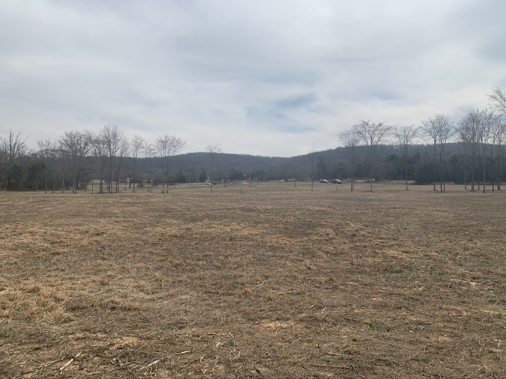 0 West Trimble Road Milton, TN 37118 - Photo 9 of 9 Gallery Image 9