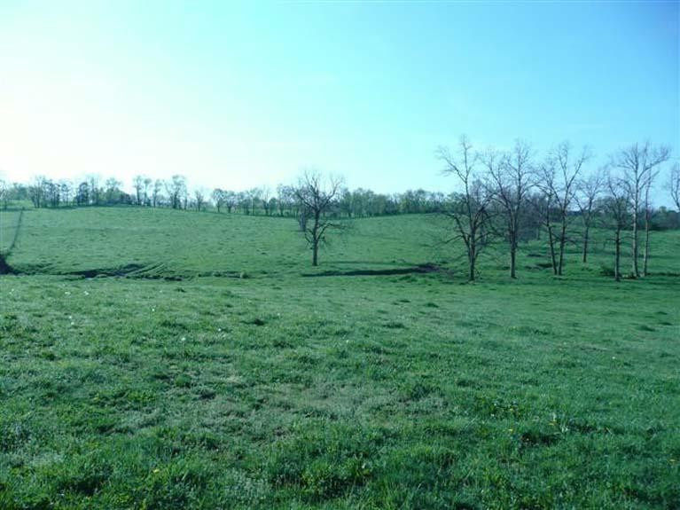 912 Shannon Run Road Versailles, KY 40383 - Photo 6 of 22 Photo 6