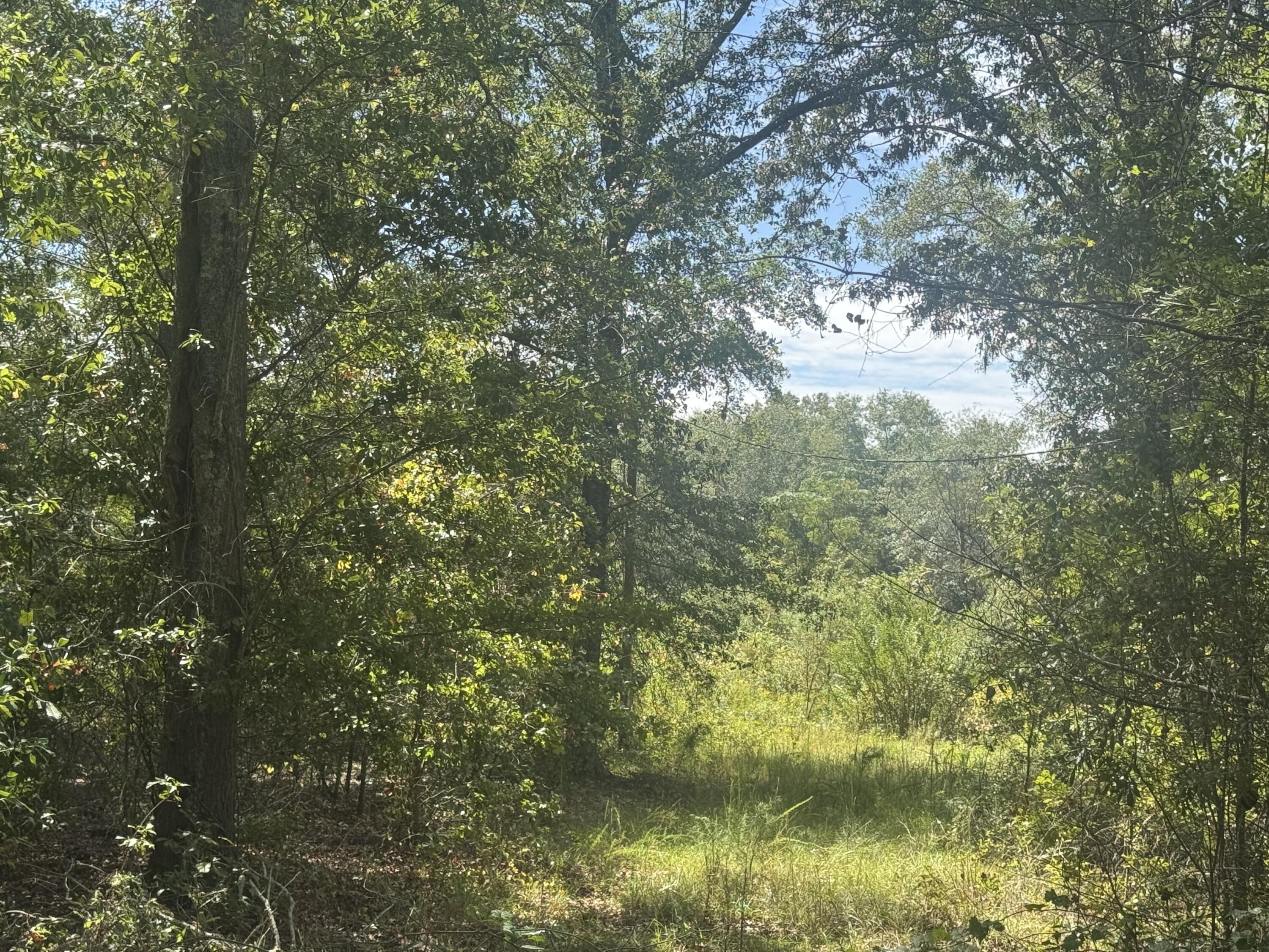 1571-1651 State Rd S-38-1206 North, SC 29112 - Photo 3 of 5