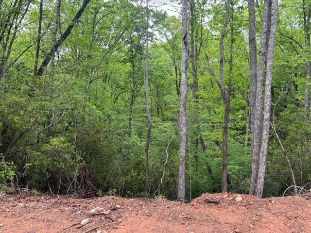 0 Tyler Lane Marble, NC 28905 - Photo 17 of 31