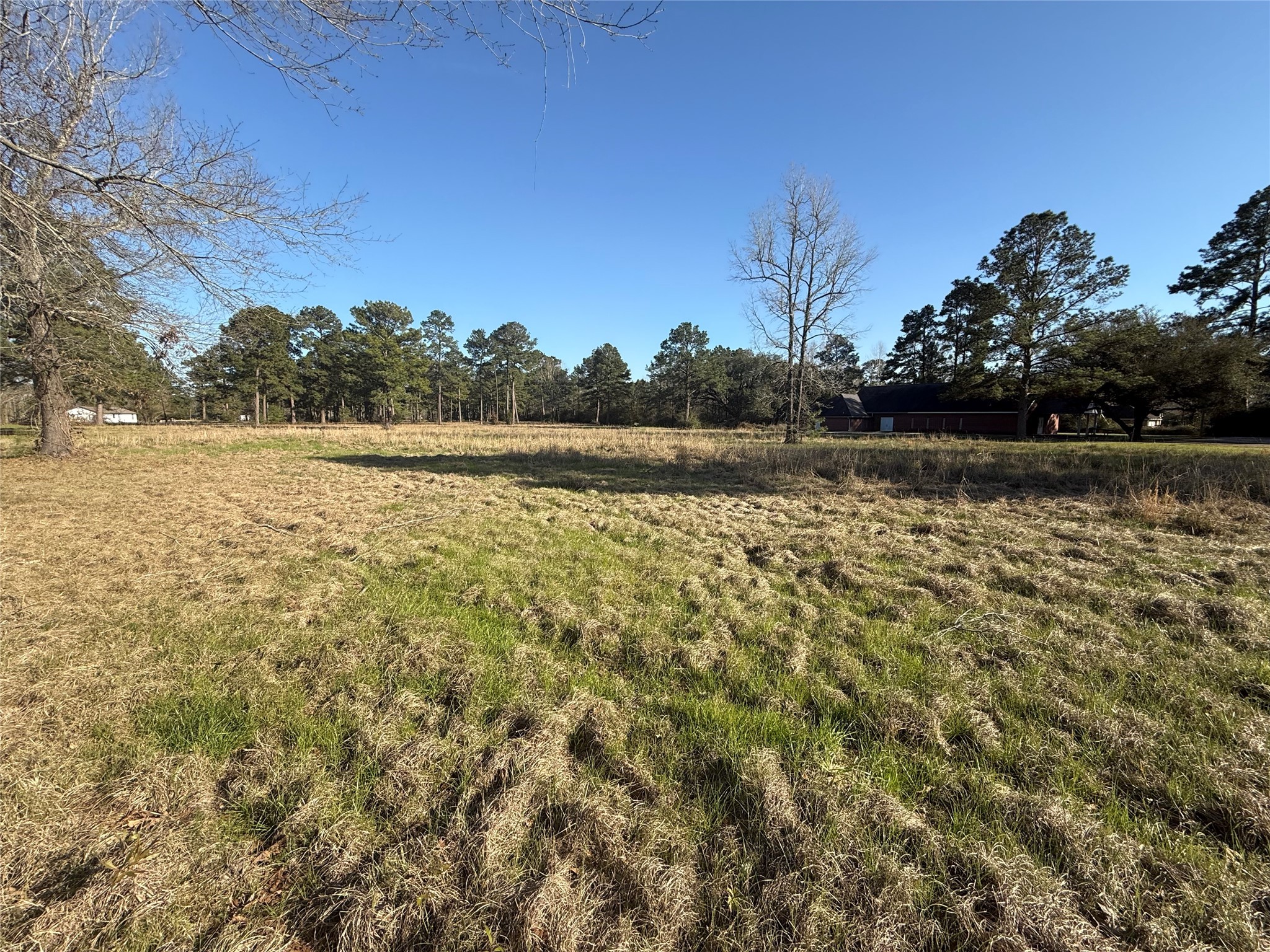 # Rad Livingston, TX 77351 - Photo 1 of 15 a view of lake with houses