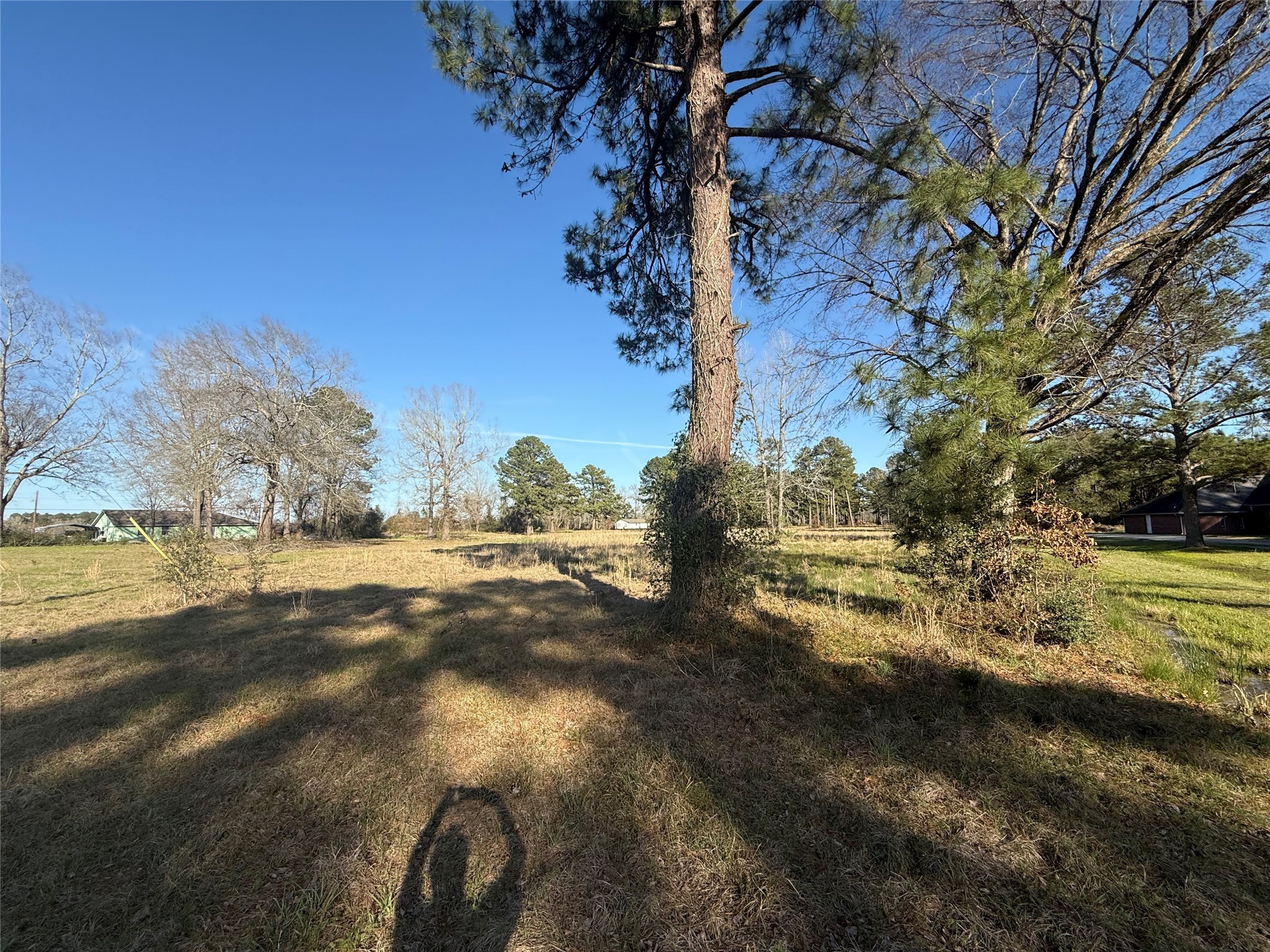 # Rad Livingston, TX 77351 - Photo 13 of 15 a view of a yard with large trees