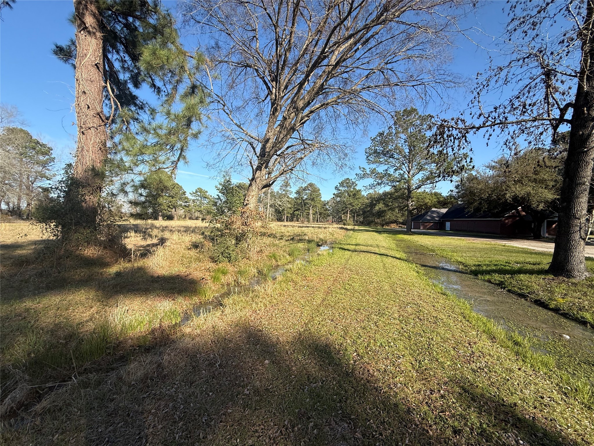 # Rad Livingston, TX 77351 - Photo 15 of 15 a view of a yard with a tree