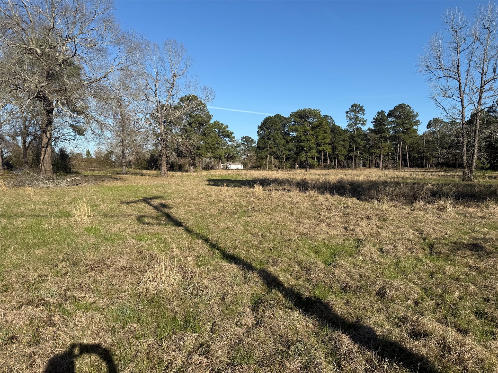 # Rad Livingston, TX 77351 - Photo 6 of 15 a view of a yard with trees in the background