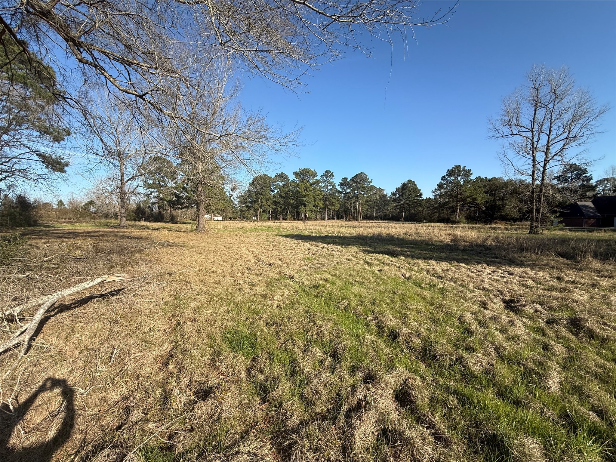 # Rad Livingston, TX 77351 - Photo 8 of 15 a view of lake view and mountain view