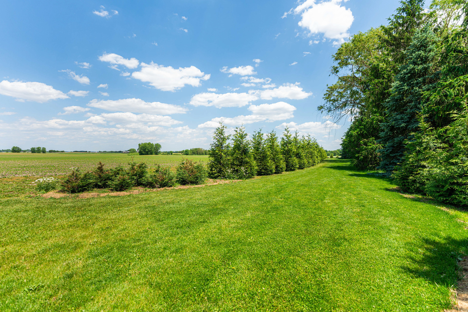 1N409 County Line Road Maple Park, IL 60151 - Photo 102 of 125 a view of a big yard with swimming pool and green space
