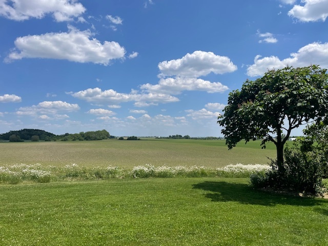 1N409 County Line Road Maple Park, IL 60151 - Photo 104 of 125