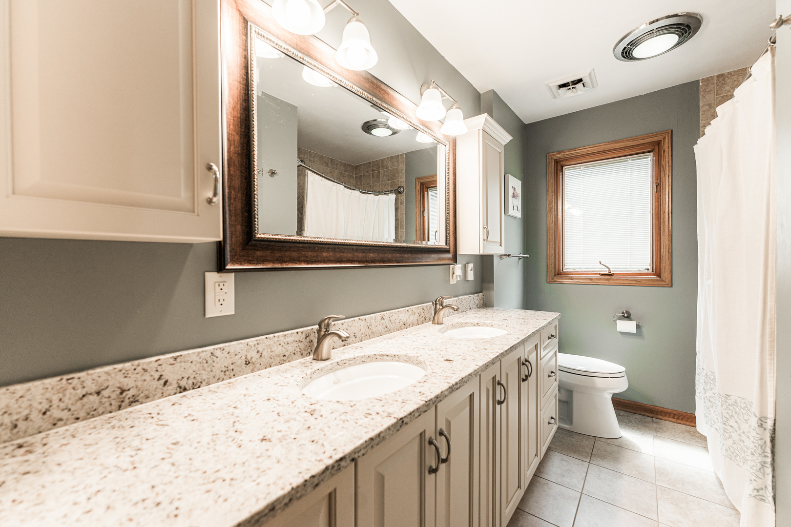 1N409 County Line Road Maple Park, IL 60151 - Photo 35 of 125 a bathroom with a granite countertop sink a large mirror and a toilet