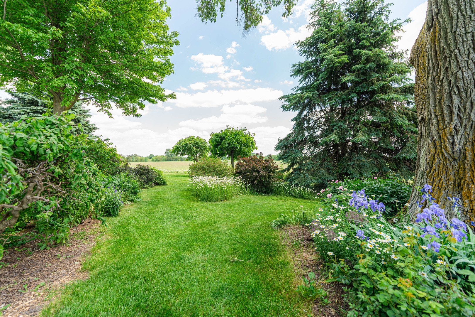 1N409 County Line Road Maple Park, IL 60151 - Photo 88 of 125 a view of a garden with plants and large trees