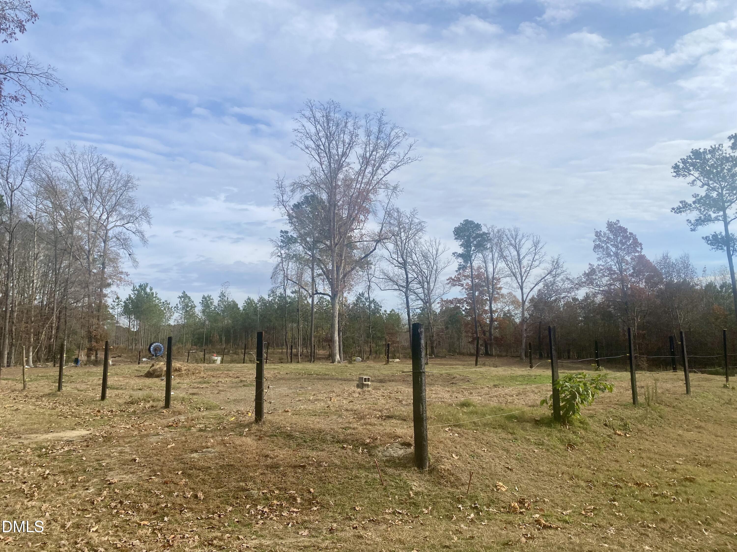 3182 Sims Bridge Road Kittrell, NC 27544 - Photo 3 of 44 a view of outdoor space