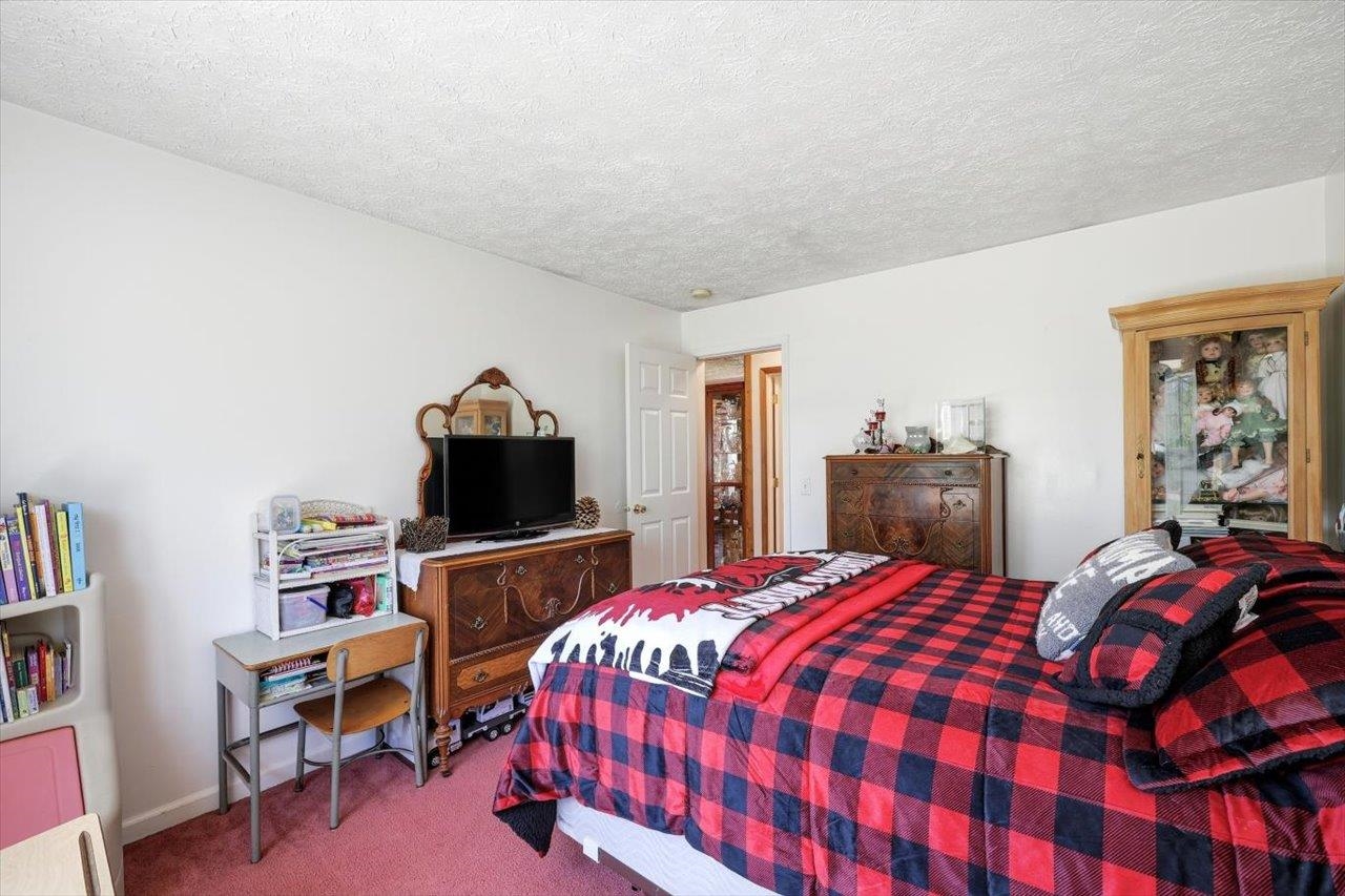 925 Mt Torrey Road Lyndhurst, VA 22952 - Photo 23 of 53