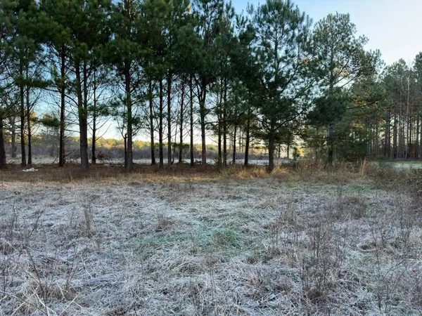 a view of outdoor space with trees