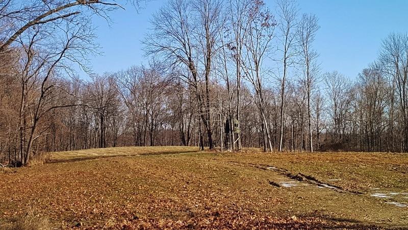 280.00-ac Oil Spring Road Otway, OH 45657 - Photo 1 of 1