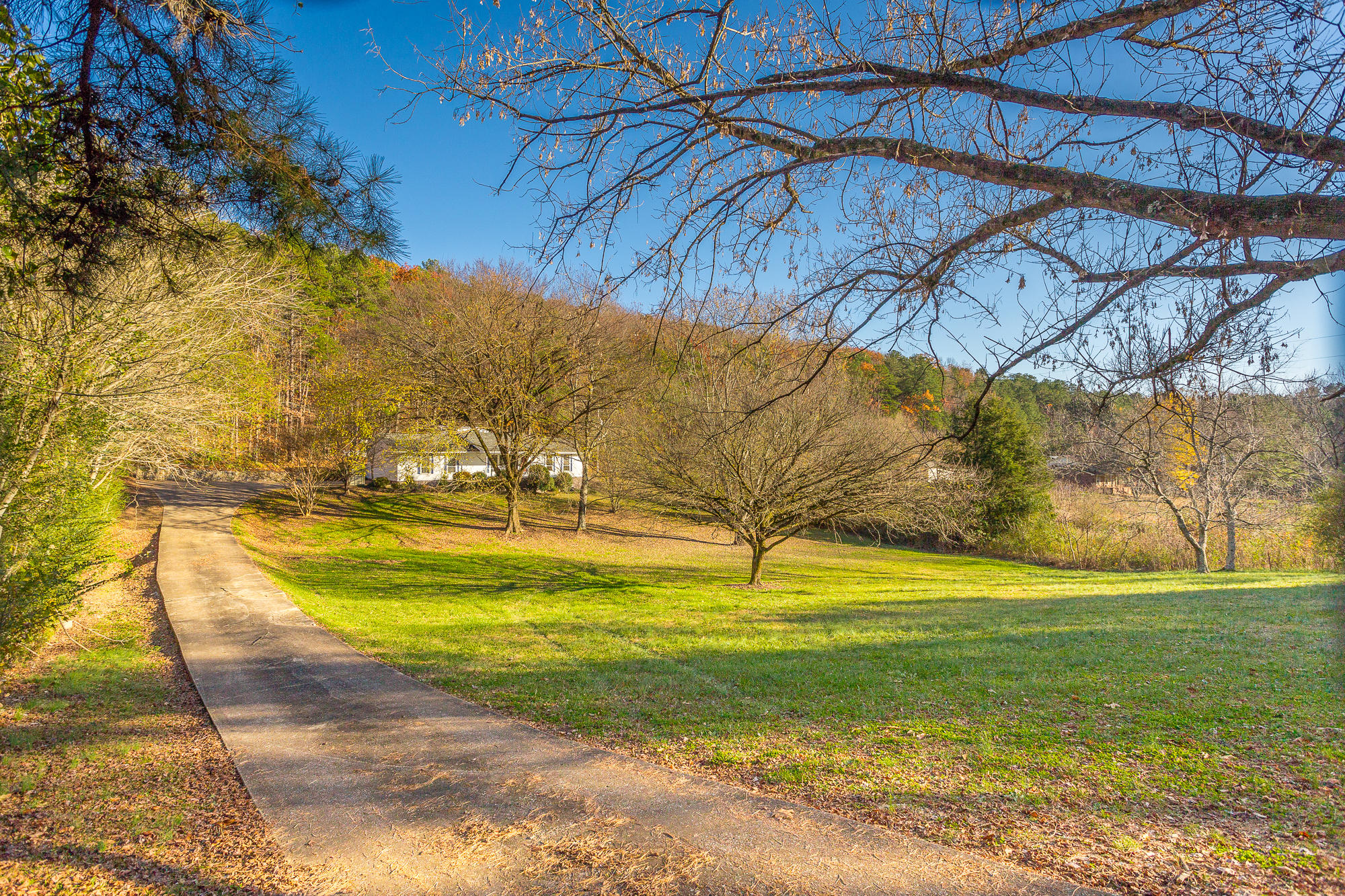 1861 Bagggett Road-60