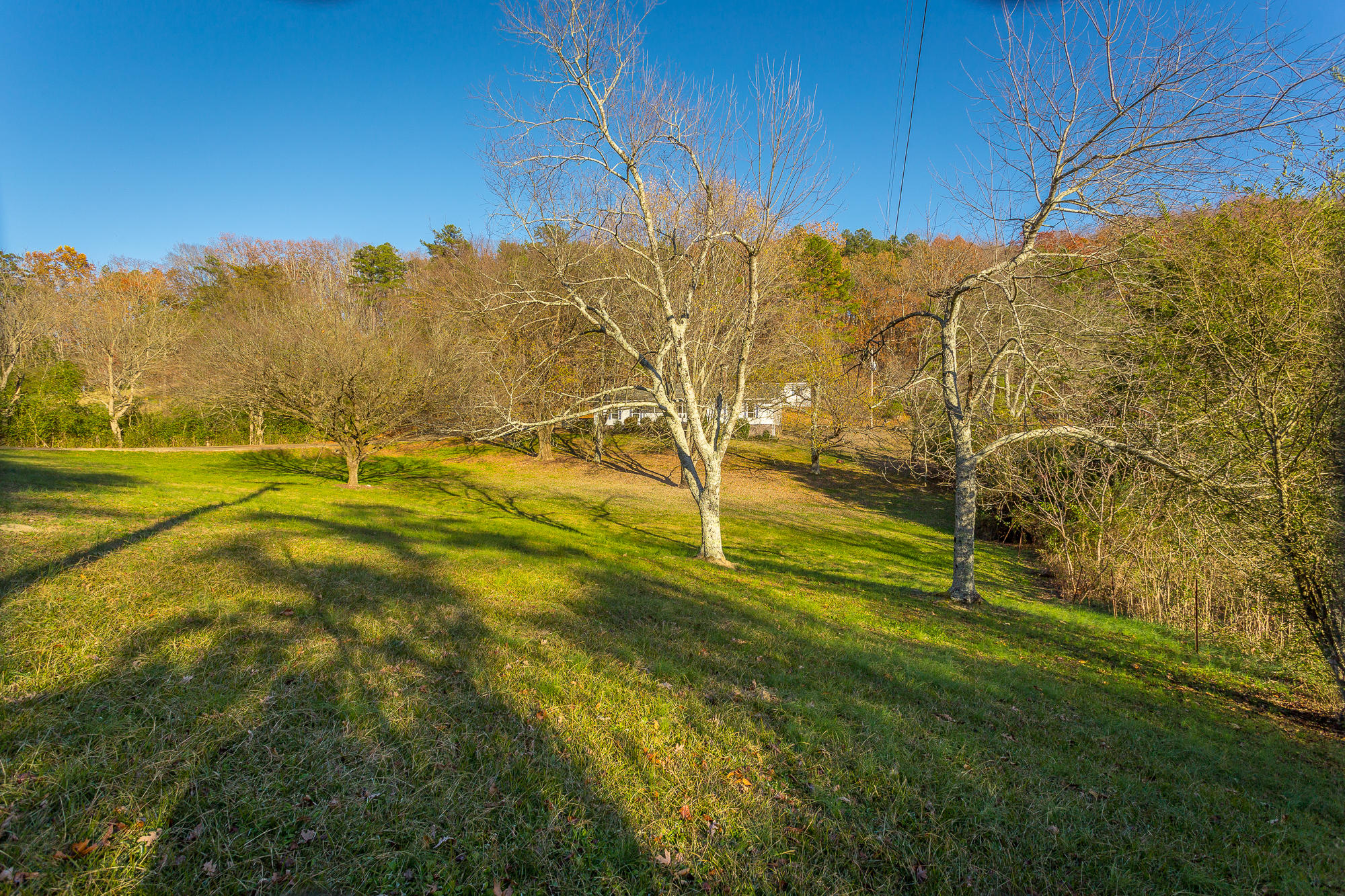 1861 Bagggett Road-57