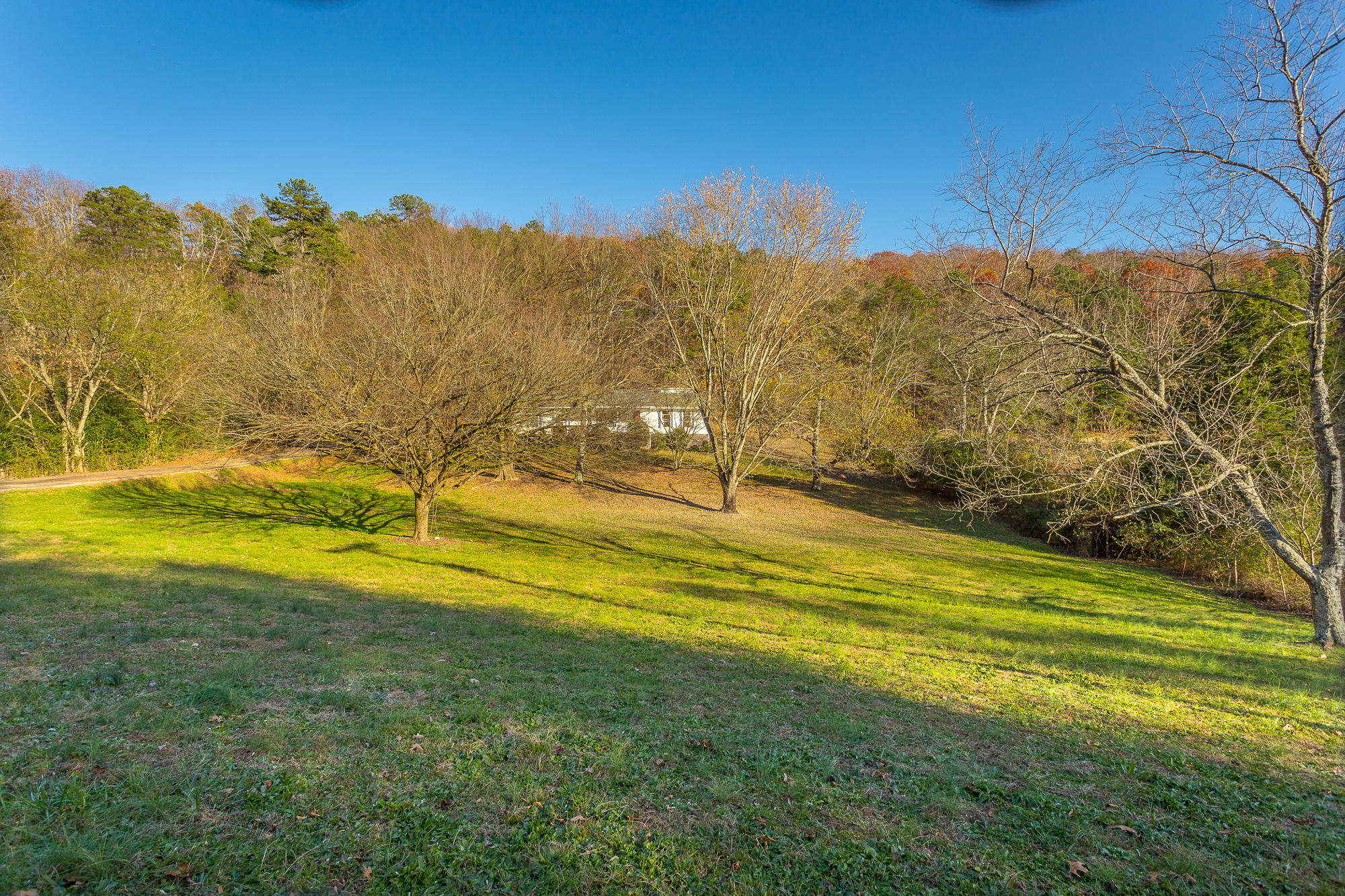 1861 Baggett Road Ringgold, GA 30736 - Photo 8 of 54 1861 Bagggett Road-58