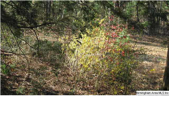 215 Horsley Road Remlap, AL 35133 - Photo 19 of 31 Gallery Image 19