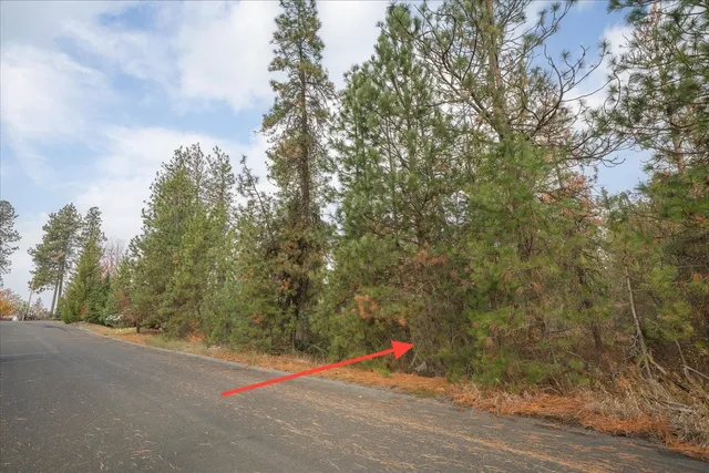 $150,000 | 201-xx West Waterside Court, Medical Lake, WA 99022