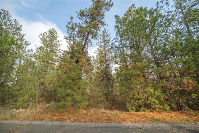 $150,000 | 201-xx West Waterside Court, Medical Lake, WA 99022