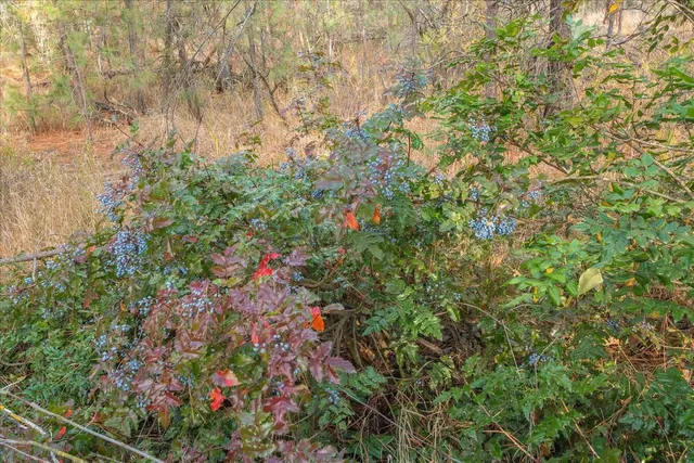 $150,000 | 201-xx West Waterside Court, Medical Lake, WA 99022