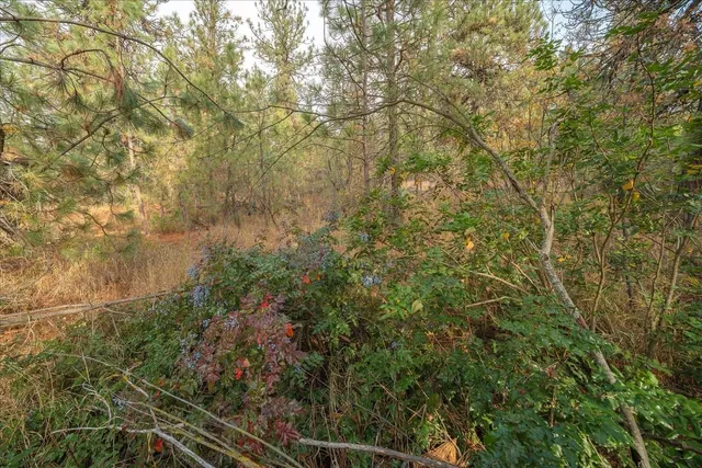 $150,000 | 201-xx West Waterside Court, Medical Lake, WA 99022