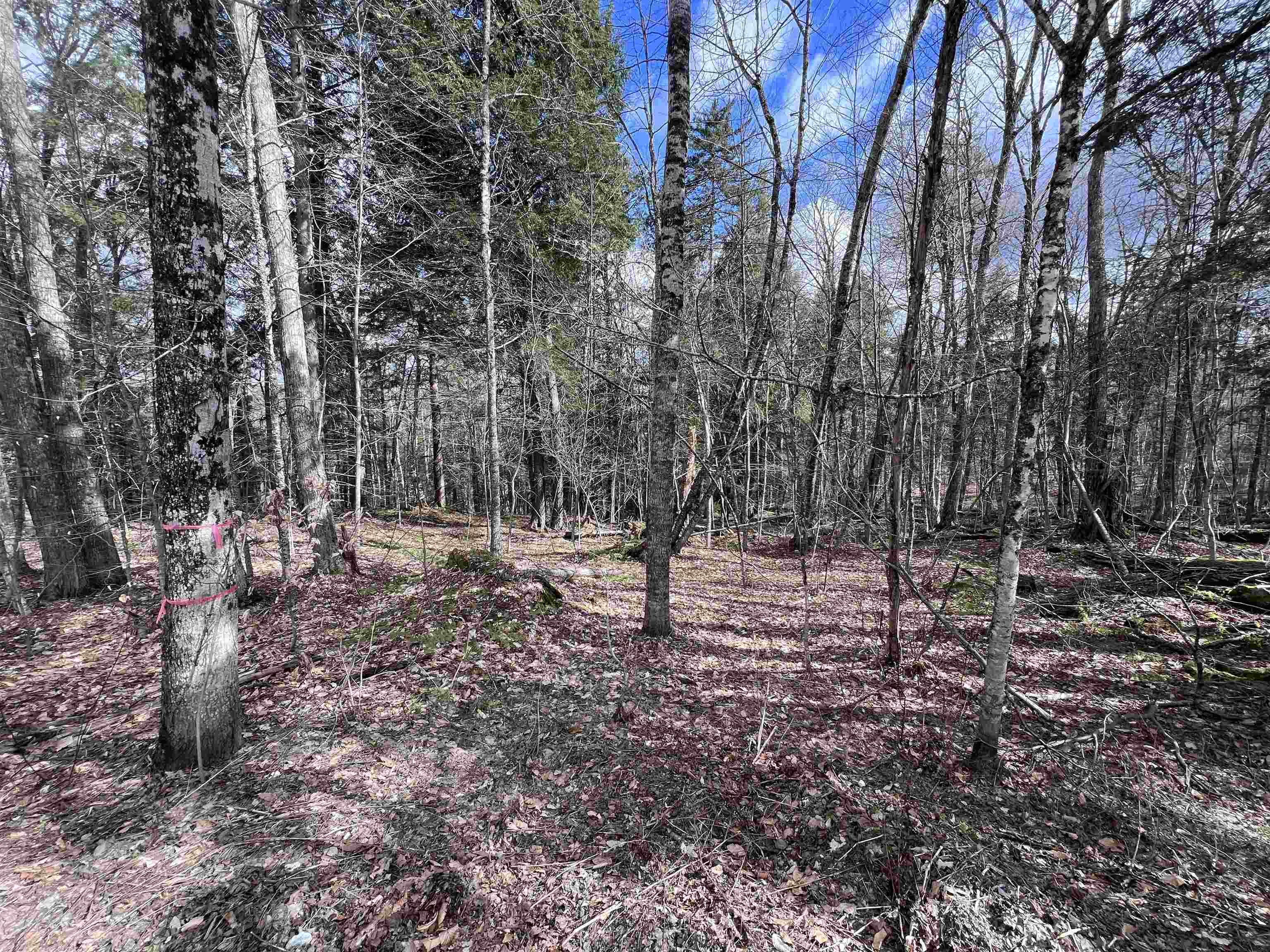 Tbd Rathburn Road East Calais, VT 05650 - Photo 25 of 40