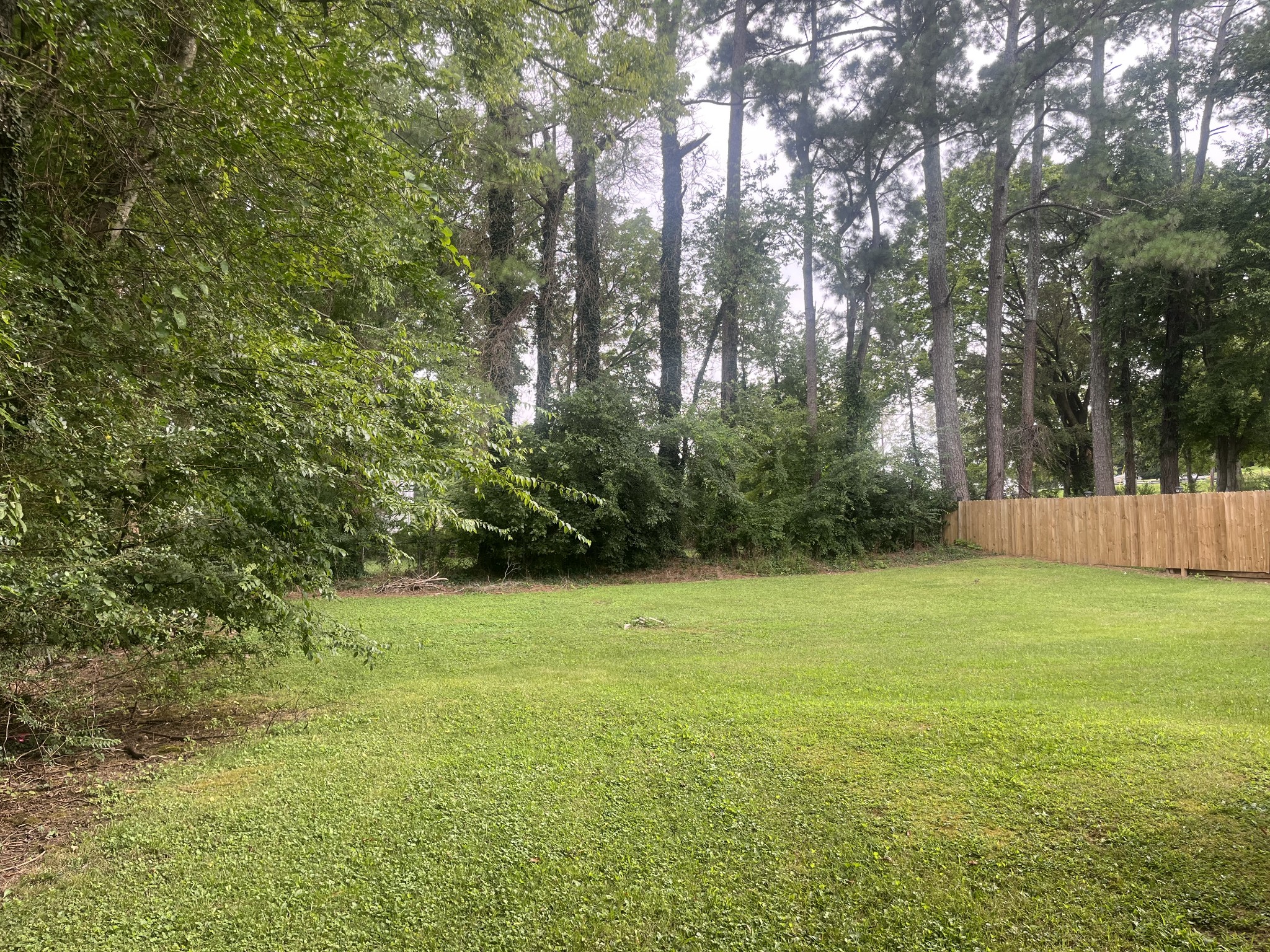 107 West Songer Street Waynesboro, TN 38485 - Photo 7 of 26 a view of an outdoor space and a yard